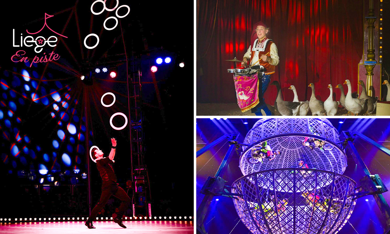 Entrée pour le cirque de Noël Liège en piste