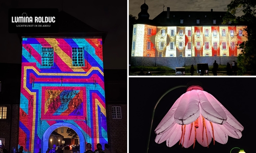Entree Lumina Rolduc - Lichtkunst in de Abdij + koffie, thee of warme chocomel
