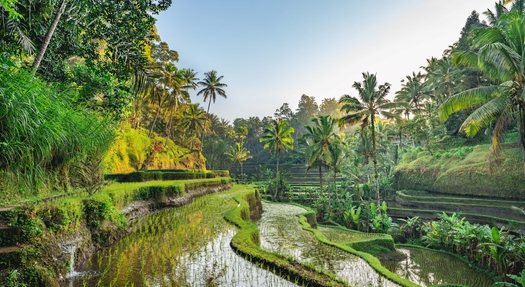 Rundrejse på Bali