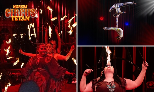 Entrée pour le cirque équestre Tetam