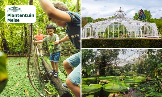 Entree Plantentuin Meise volwassene