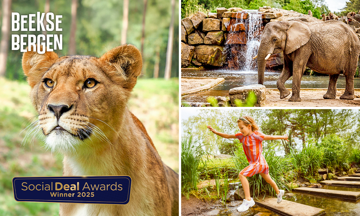 Entree Safaripark Beekse Bergen