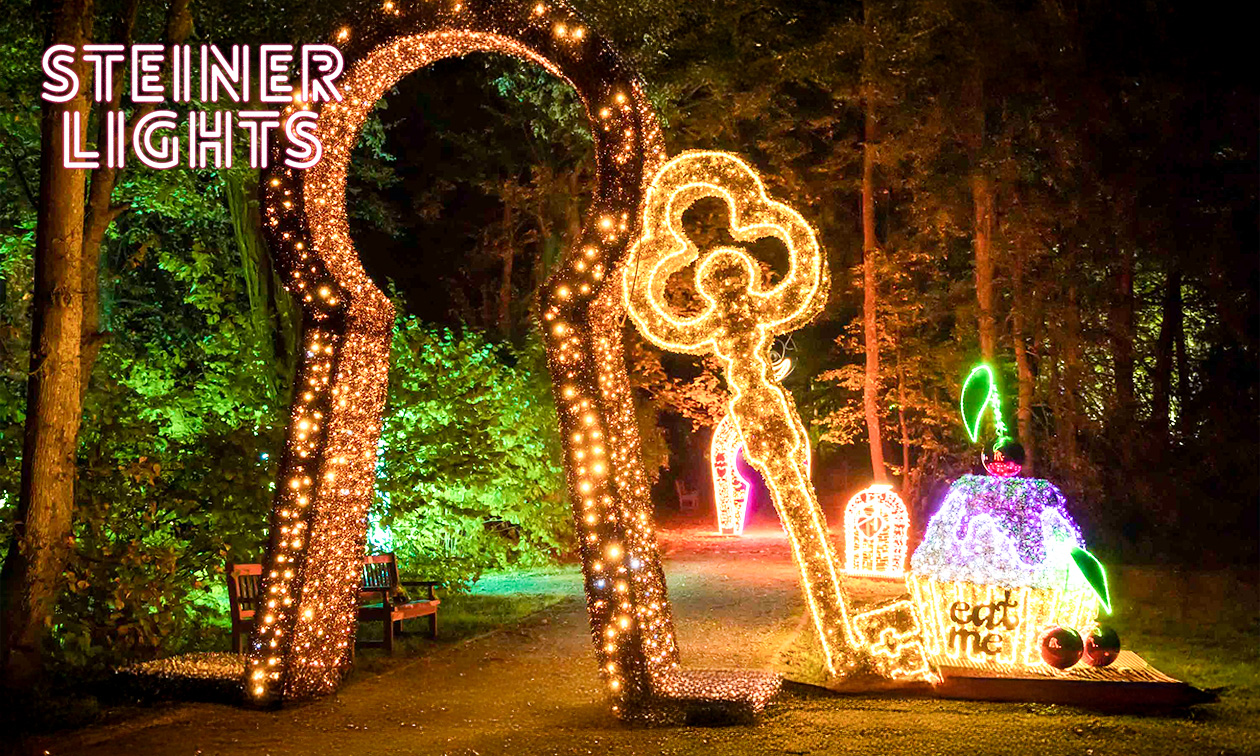 Entree Steinerlights van Steinerbos + koffie, thee of warme chocomel