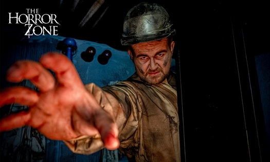 Entree voor The Horror Zone
