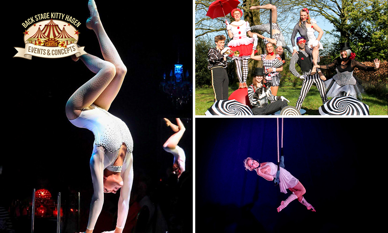 Ticket voor circusvoorstelling