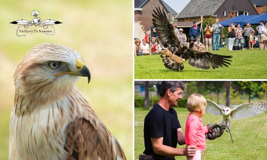 Roofvogelworkshop (3 uur) + drankjes en versnaperingen