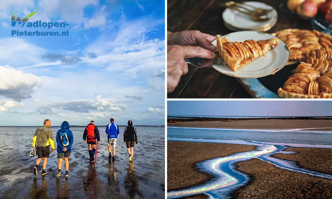 (Kinder-)wadlooptocht (à 2 of 2,5 uur) + koffie/thee + gebak