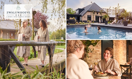 Dagentree + TREATMENTS® Parfum d'interieur bij Wellnessresort Zwaluwhoeve