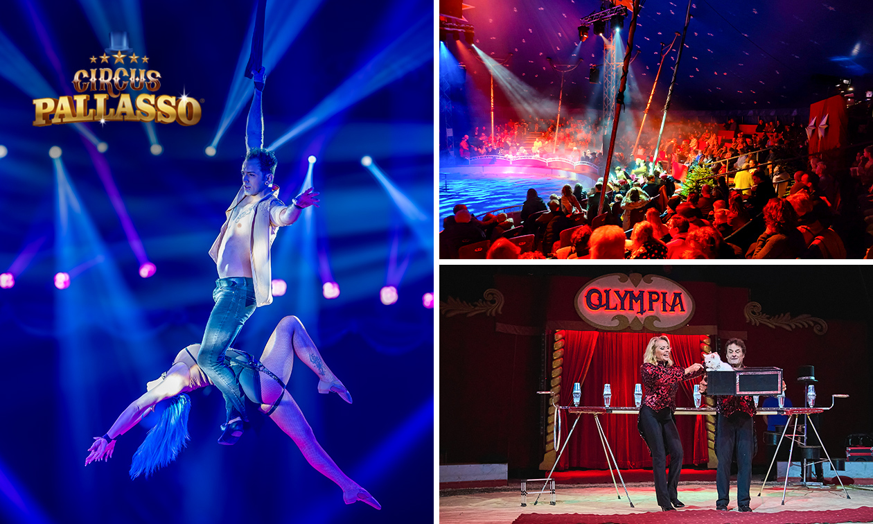 Ticket Wintercircus Pallasso