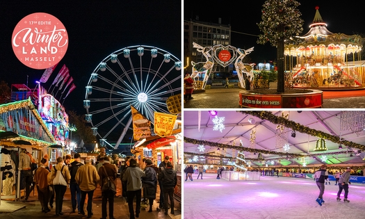 Schaatsen incl. schaatshuur + ritje reuzenrad + 2 consumpties bij Winterland