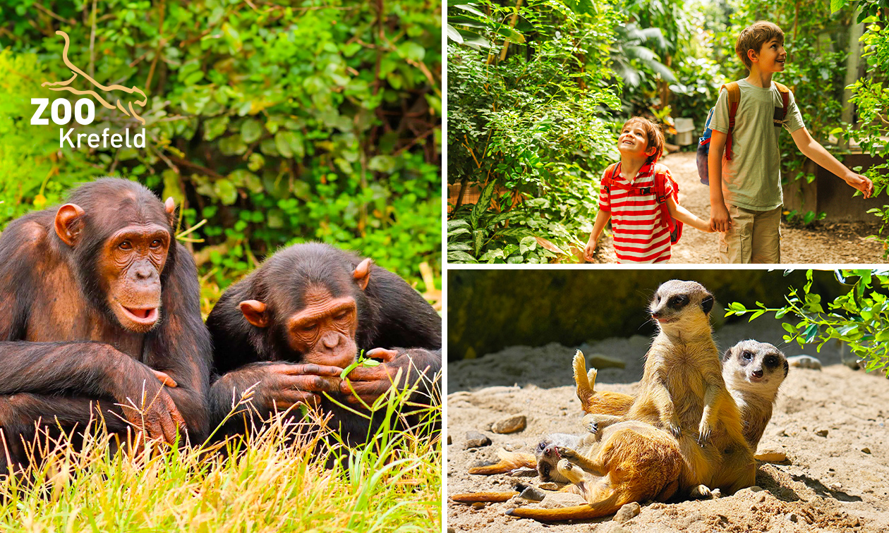 Entree voor Zoo Krefeld