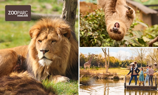 Eintritt ZooParc Overloon