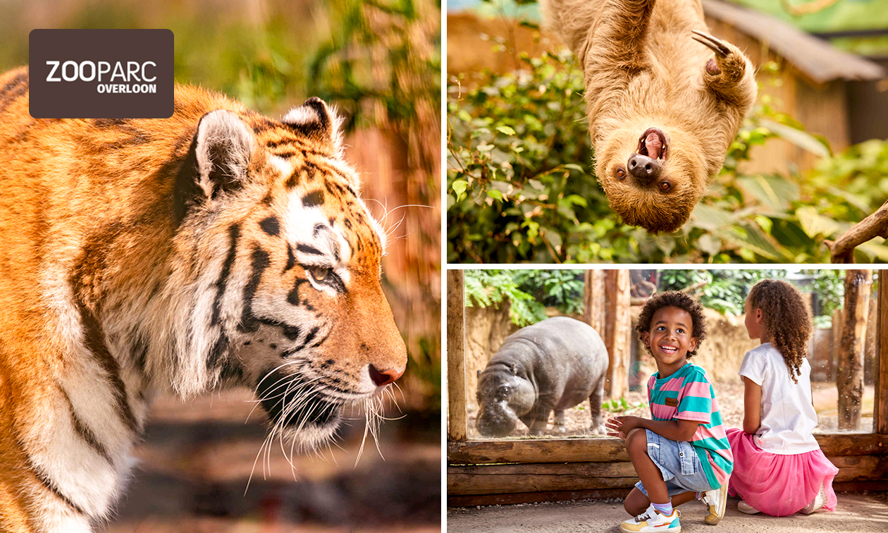 Entree ZooParc Overloon