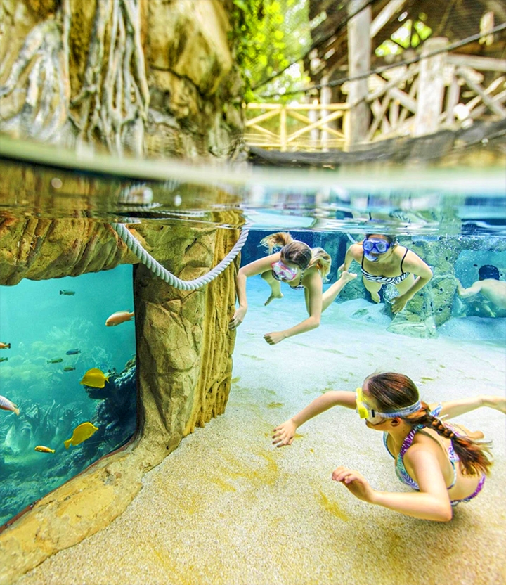 Heerlijk zwemmen bij Aqua Mundo Erperheide